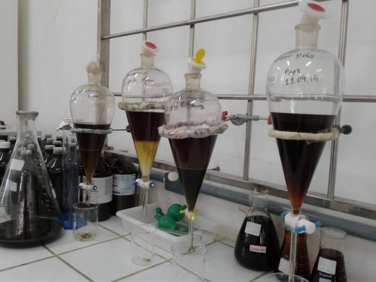 Pesquisa apoiada pelo Governo do Amazonas investiga substâncias com potencial anticâncer oriundas de plantas amazônicas