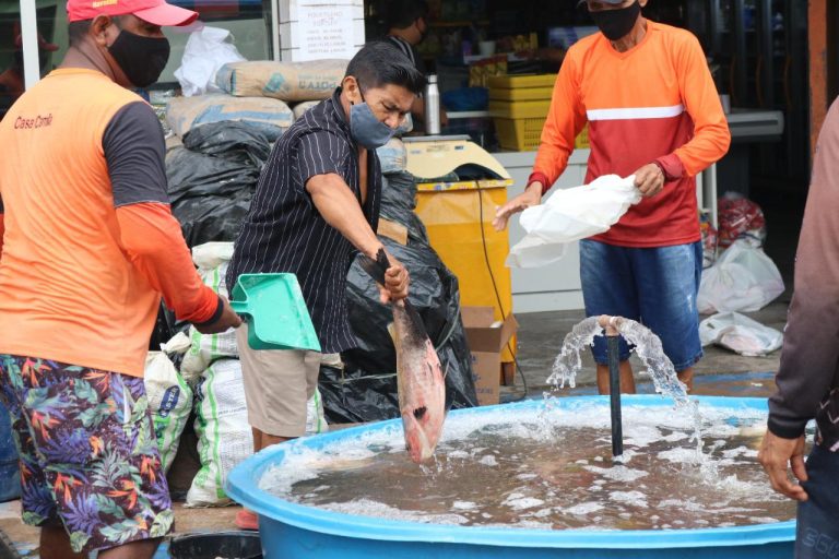 Barreirinha realiza primeira feira do peixe na quinta-feira santa