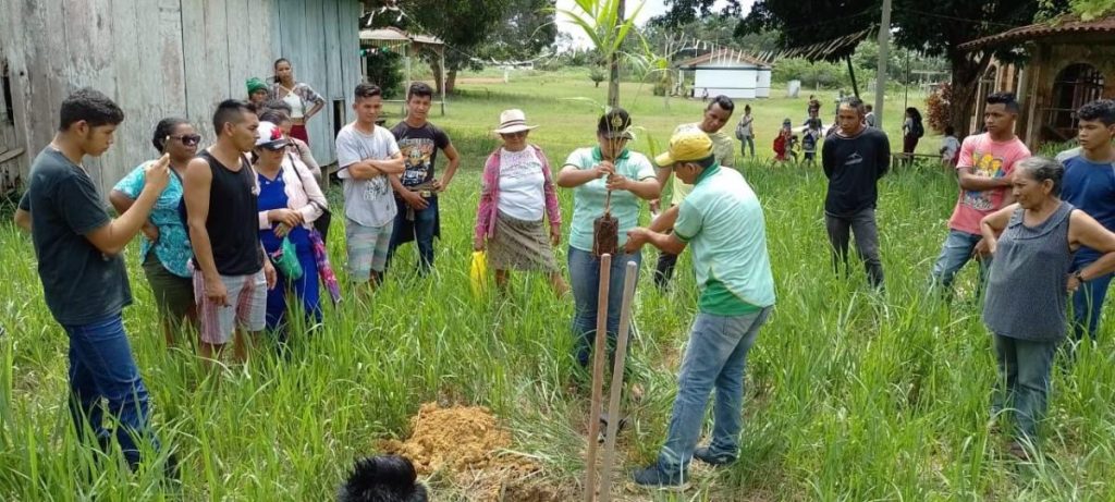produtores de açaí