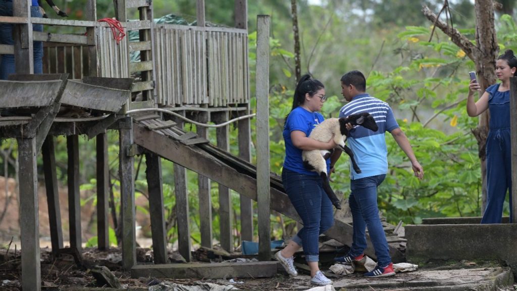 Joana Darc resgata mais de 30 animais no bairro Tarumã