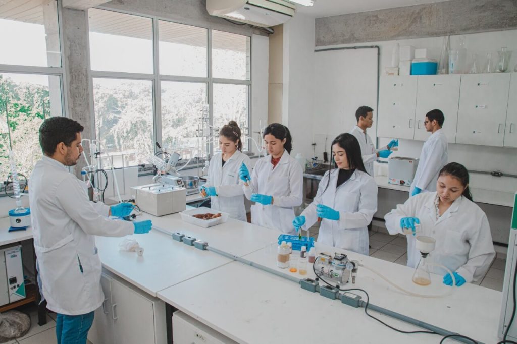 Divulgada lista de propostas enquadradas no Programa de Apoio à Fixação de Jovens Doutores da Fapeam e CNPq