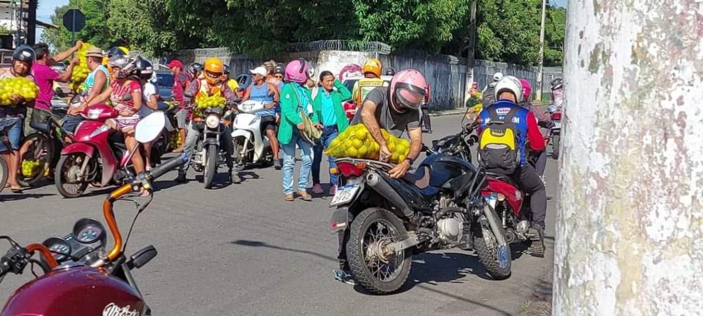 Consumo de laranja apreendida por risco contaminação por praga põe saúde pública de Parintins em alerta 