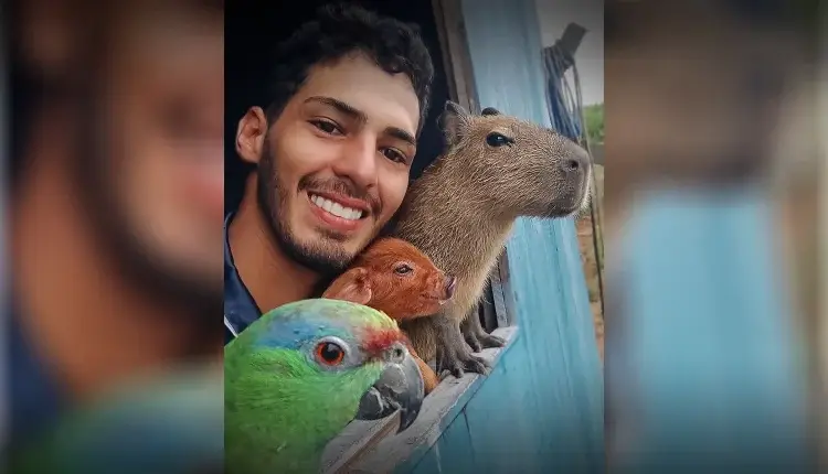 Após decisão da Justiça, capivara Filó já está com influencer do Amazonas