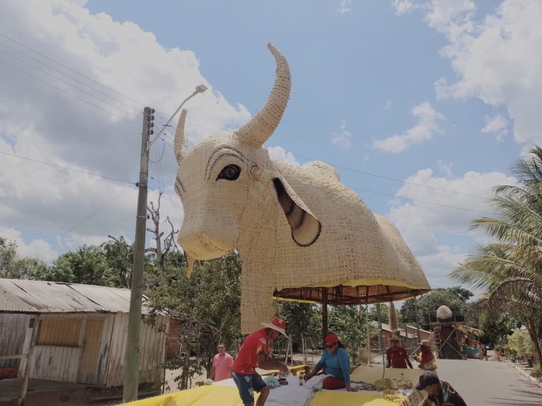 Boi Espalha Emoção faz seus últimos ajustes para a primeira noite da Disputa do 18° Festival Folclórico do Mocambo