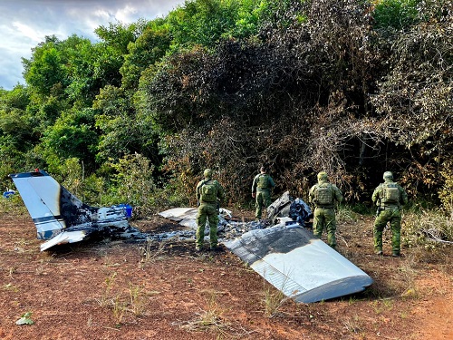 Em operação conjunta, Polícia Militar do Amazonas apreende mais de 95 quilos de entorpecentes, em Barcelos