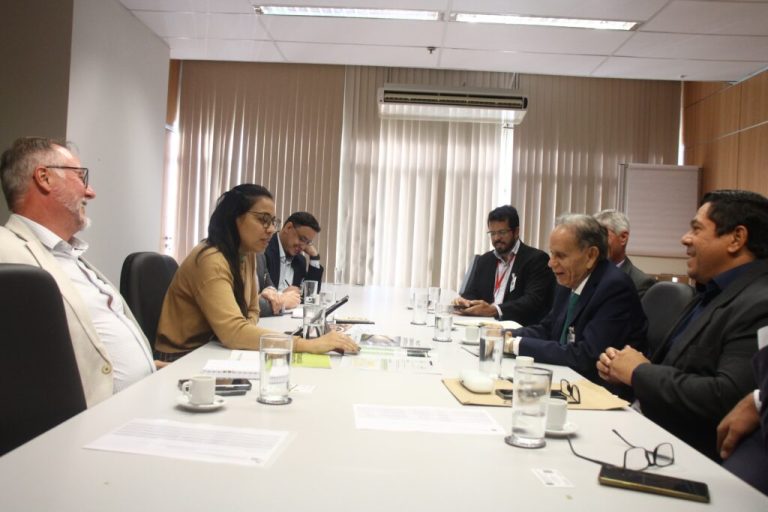 Governo do Amazonas apresenta propostas de transição energética ao Ministério de Minas e Energia