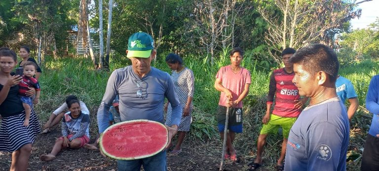 Em Manaus, Sepror visita propriedades rurais para plantação de hortas comunitárias