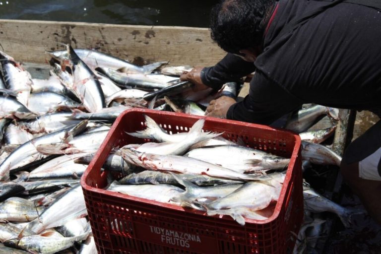 Sepror alerta sobre prazo para renovação de documento de pescadores e pescadoras