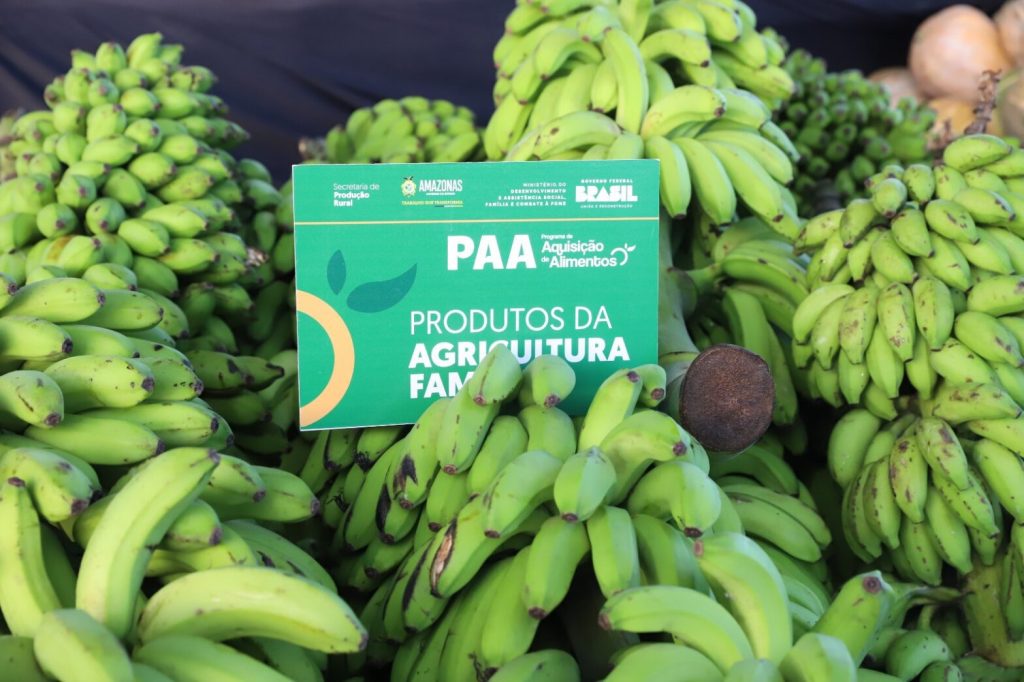 Dia Nacional da Agricultura: Amazonas festeja resultado do PPA, que garante segurança alimentar nos municípios