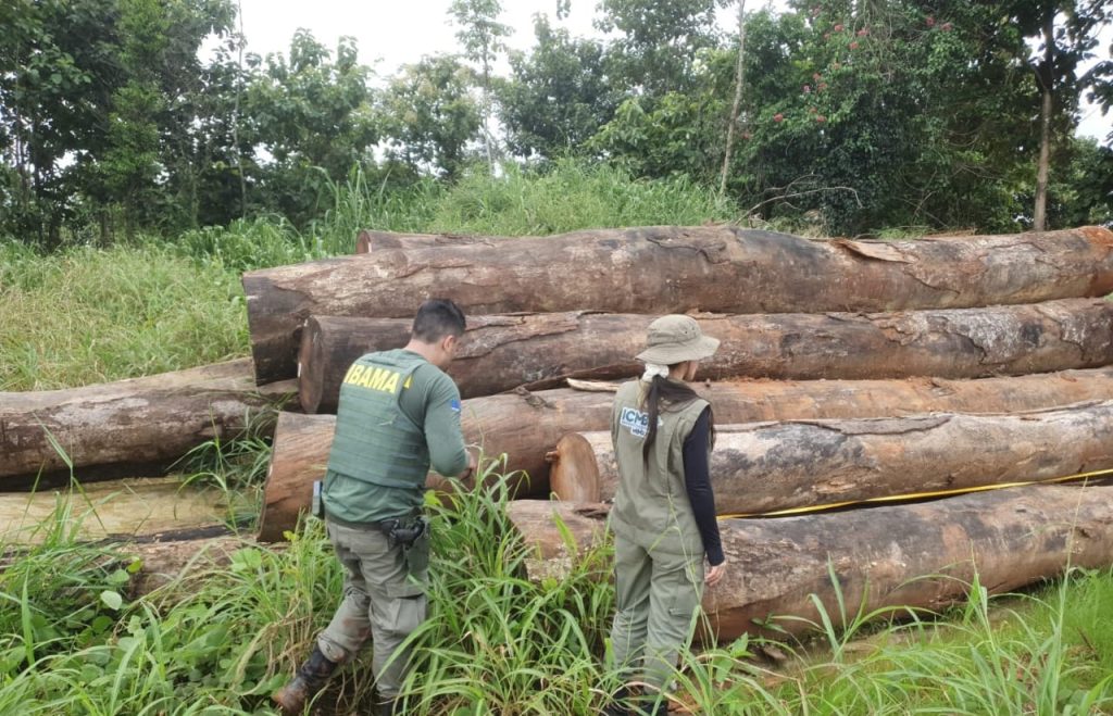 Ibama inicia Operação Maravalha 2025 para combater o desmatamento na Amazônia