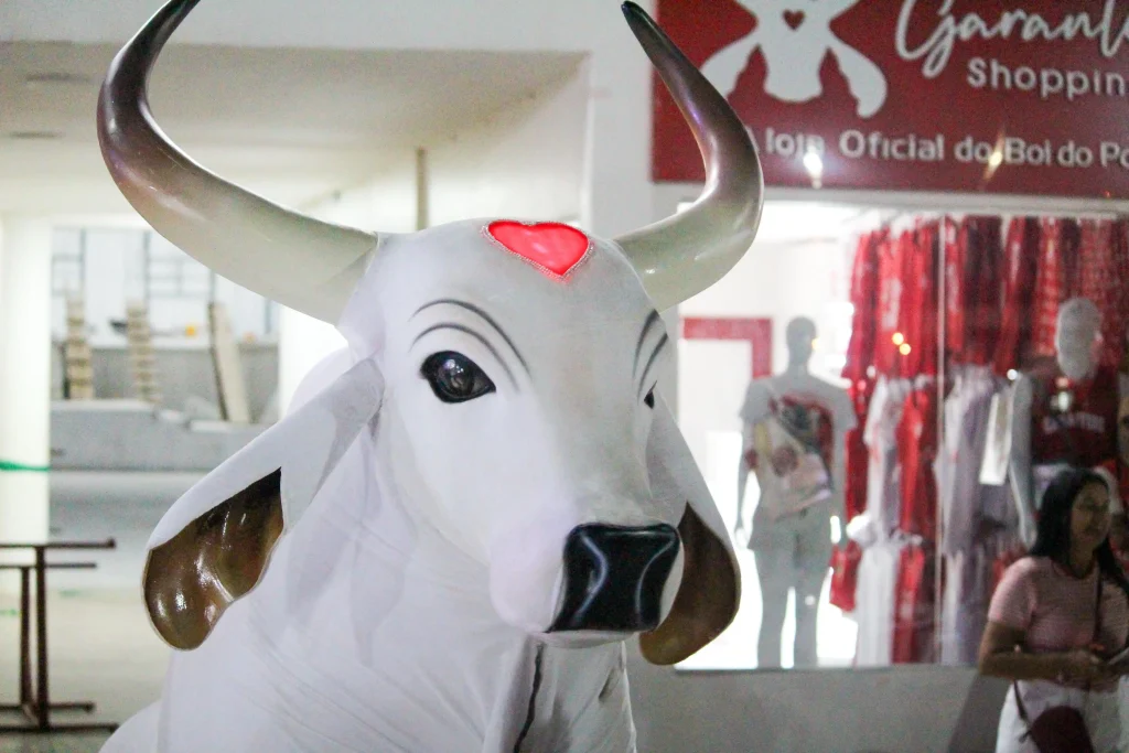 Carnaboi Vermelho e Branco estreia em grande estilo na Cidade Garantido 1 Carnaboi Vermelho e Branco 3