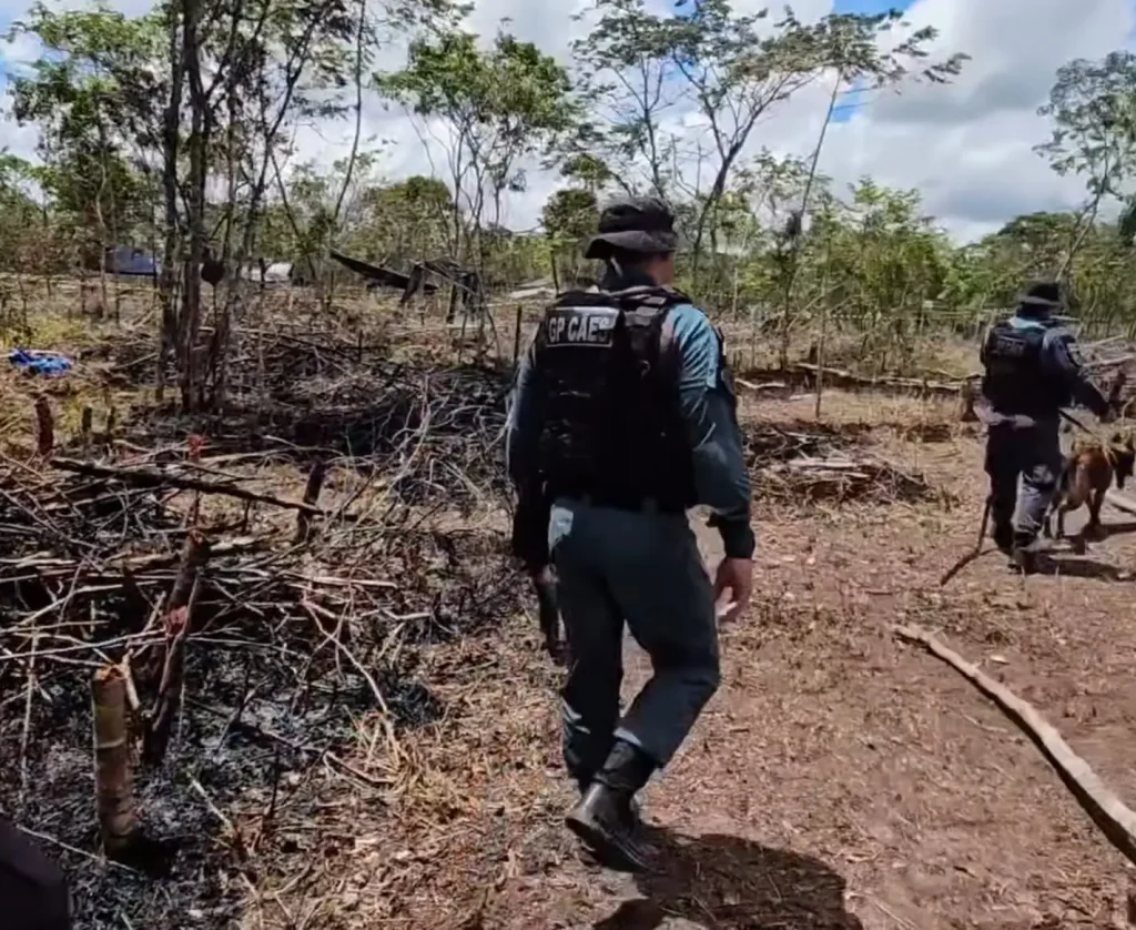 Com apoio da população, reintegração de posse em Parintins expõe comércio ilegal de terras 2 Reintegracao de posse em Parintins 3