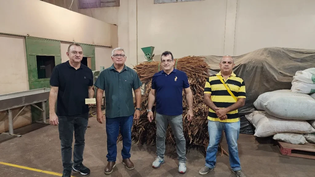 Prefeitura de Parintins apoia universidades do Pará e Amazonas para implantação de projeto de extrativismo vegetal sustentável