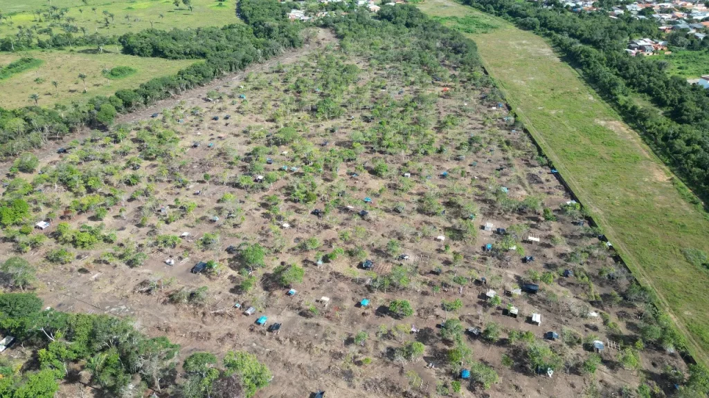Justiça determina Reintegração de Posse em áreas ocupadas em Parintins