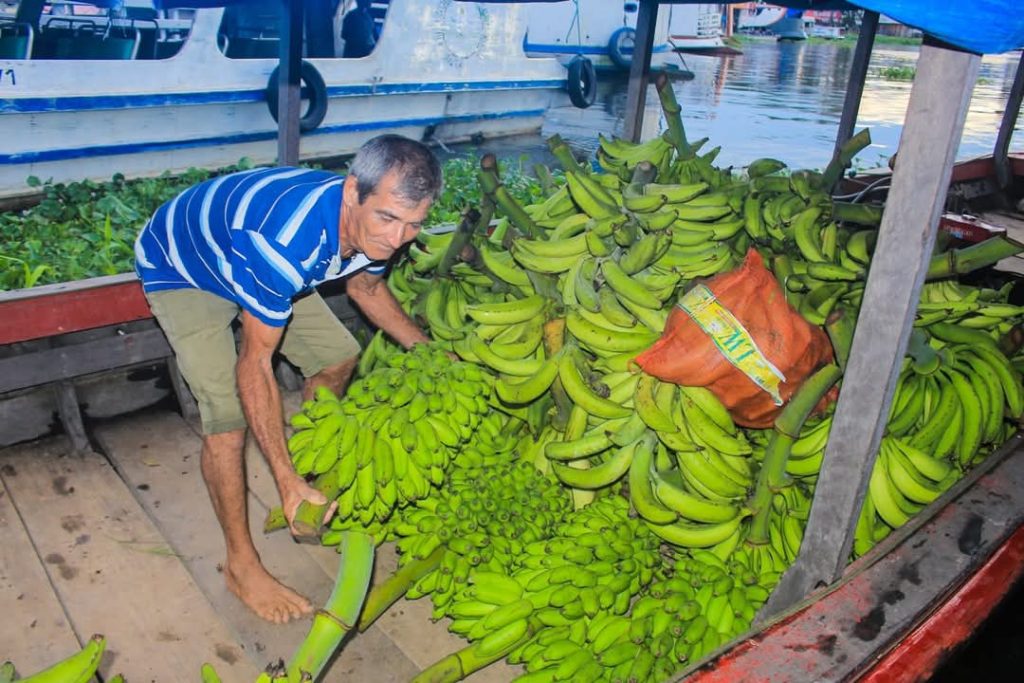 WhatsApp Image 2025 04 15 at 12.54.00