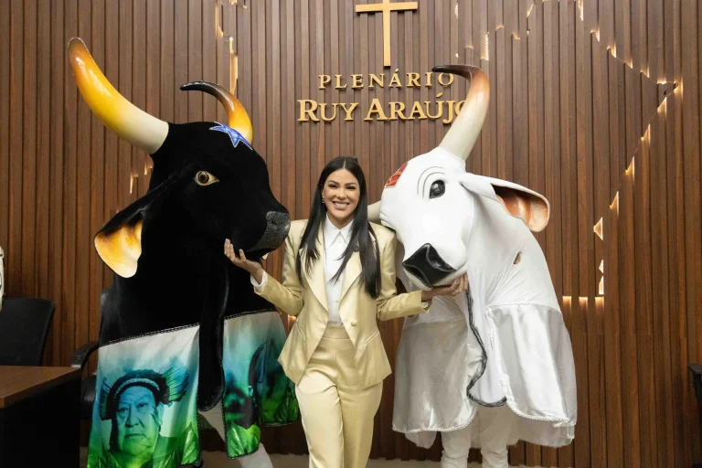 Deputada Mayra Dias