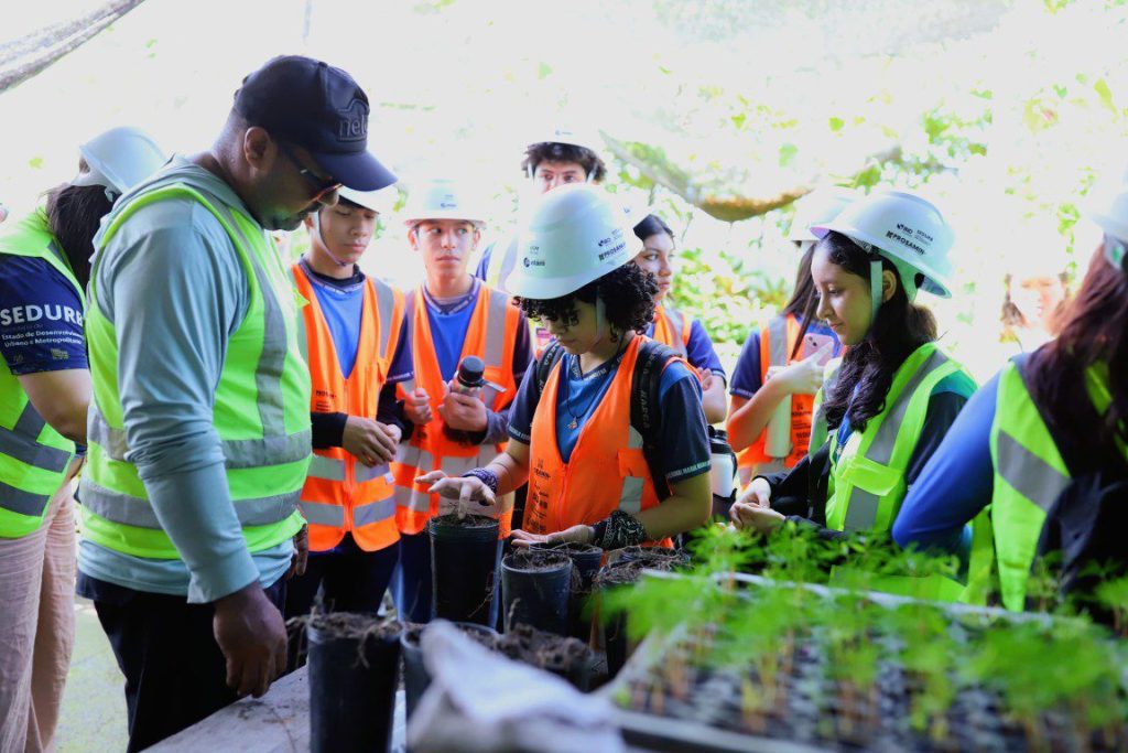Mês do Meio Ambiente: UGPE leva estudantes para conhecer projeto de reflorestamento do Prosamin+