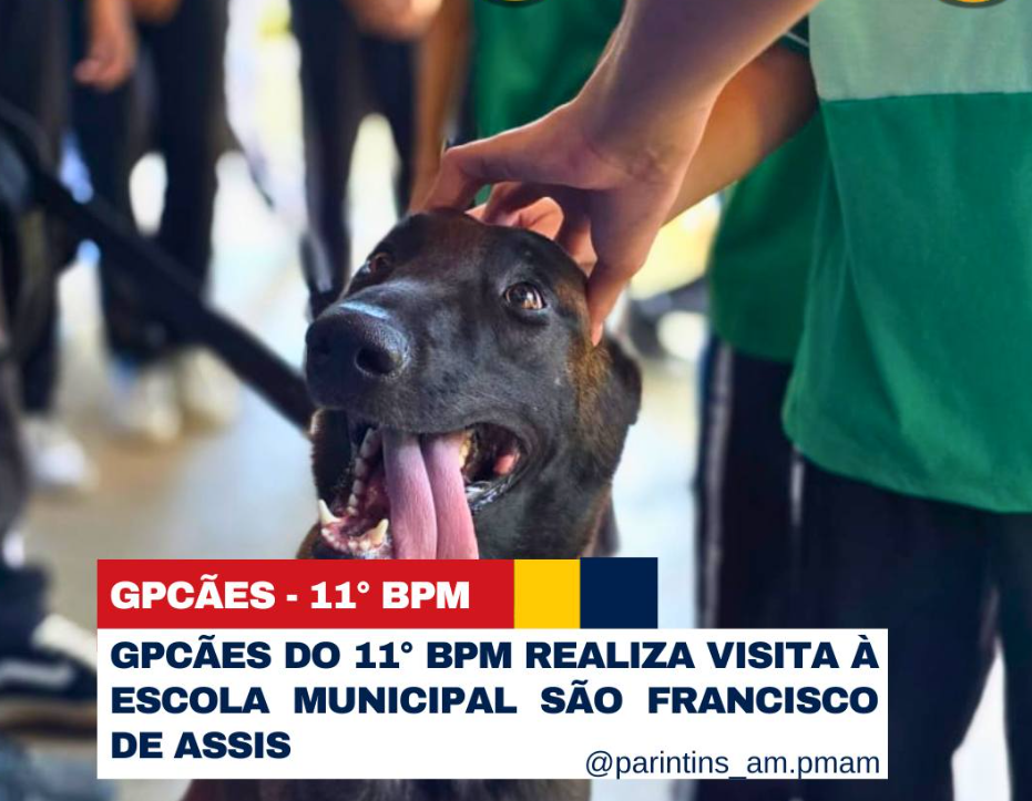 Grupamento de cães do 11º BPM realiza visita educativa em escola 1 Grupamento de caes do 11o BPM 2
