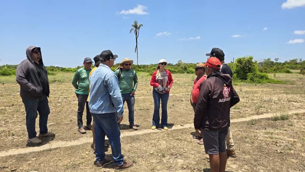 WhatsApp Image 2025 09 24 at 10.04.37