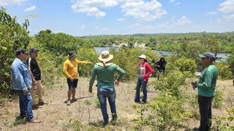 Prefeitura de Parintins prepara ação de mecanização para pecuária e agricultura do Mocambo do Arari