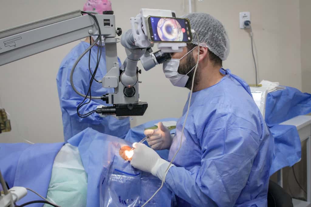 WhatsApp Image 2025 09 30 at 09.58.03