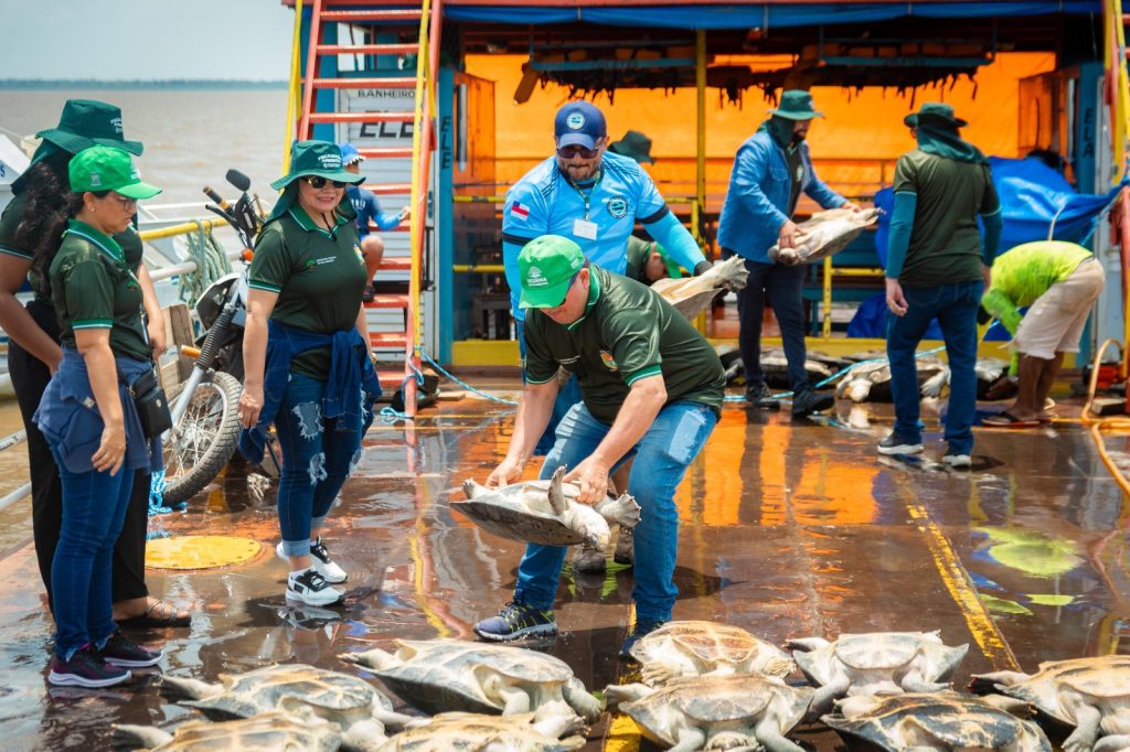 WhatsApp Image 2025 10 01 at 10.25.29