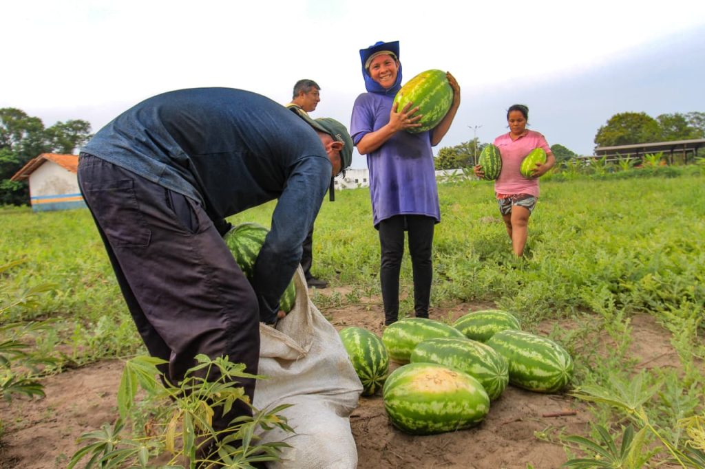 WhatsApp Image 2025 10 31 at 12.20.16 1