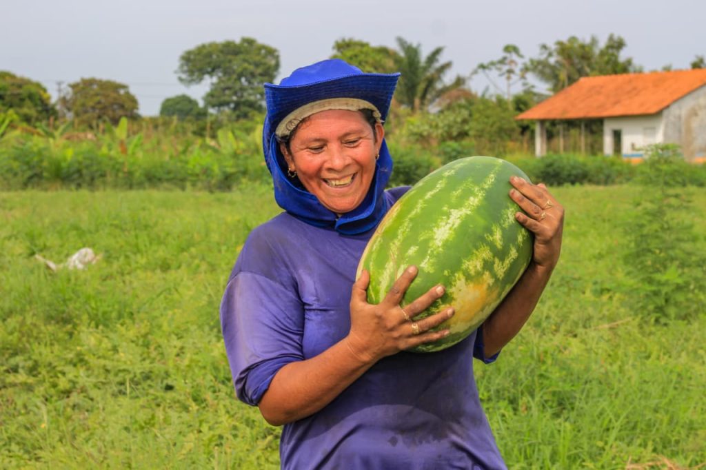 Empreendedorismo: Mulheres da Vila Amazônia produzem melancia com incentivos da Prefeitura de Parintins