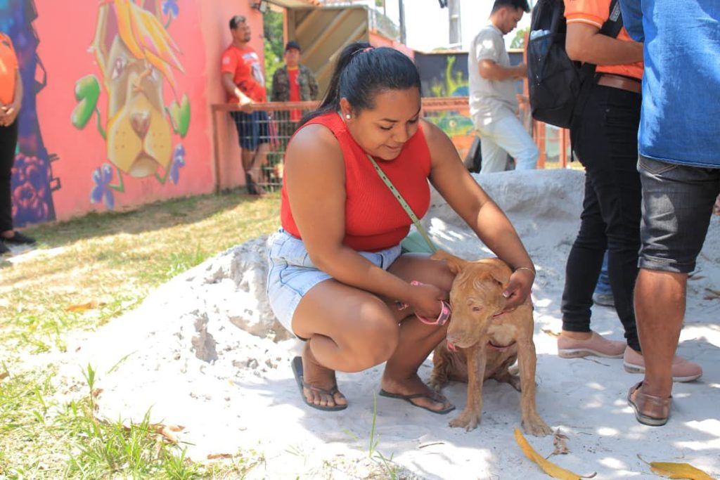 Em parceria com a Associação Patinhas Unidas, Prefeitura de Parintins inicia nova etapa do Mutirão de Castração Animal