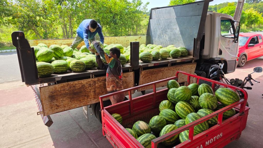 WhatsApp Image 2025 11 12 at 09.38.17 1