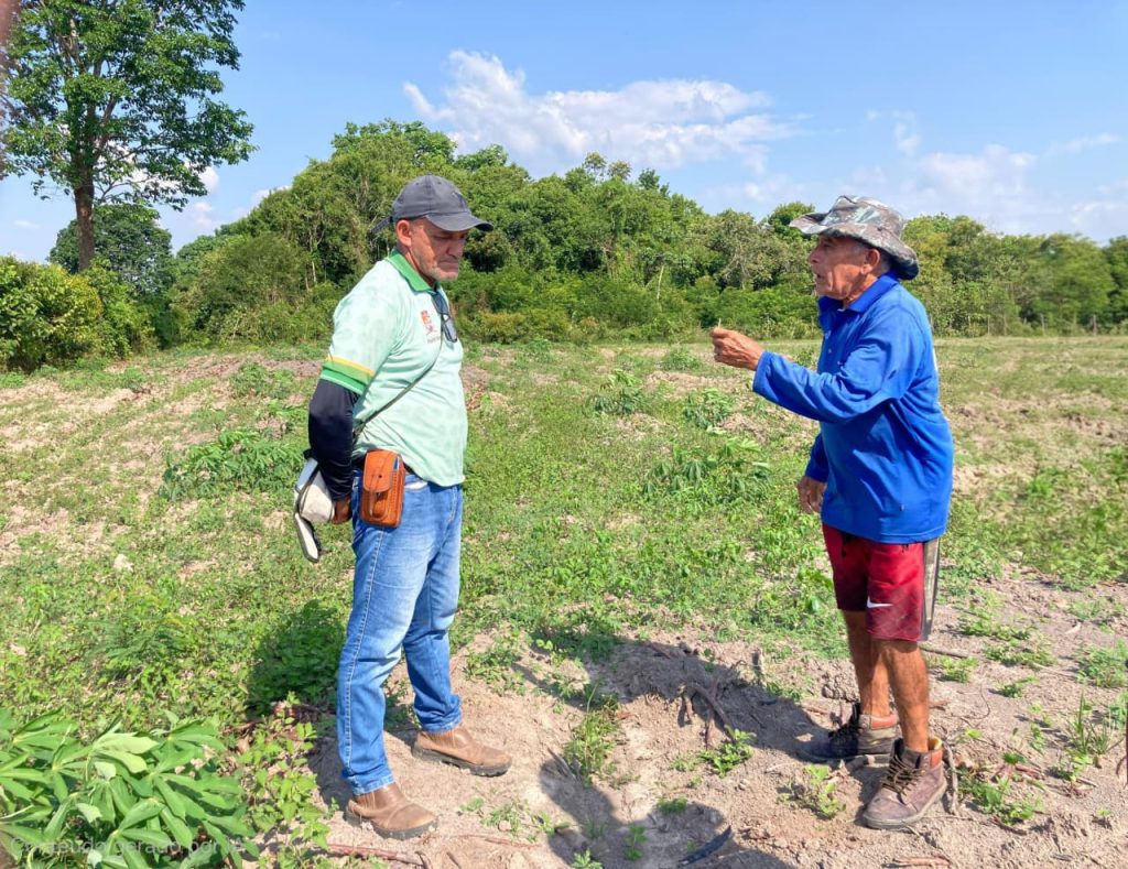 Pecuária e agricultura: Prefeitura de Parintins intensifica trabalho com produtor no Parananema