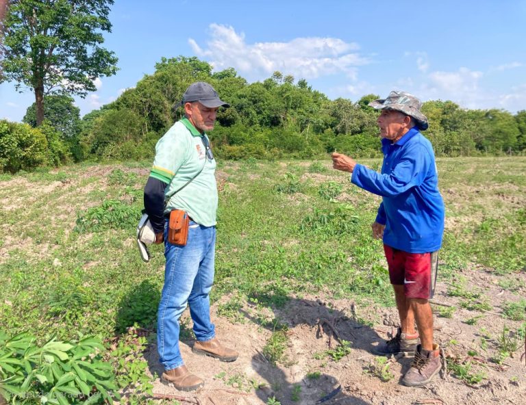 Pecuária e agricultura: Prefeitura de Parintins intensifica trabalho com produtor no Parananema