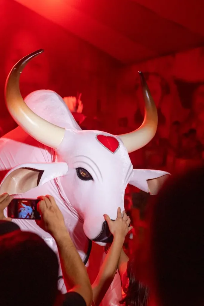 Pré-Réveillon do Boi Garantido lota o Curral e foca no bicampeonato de 2026