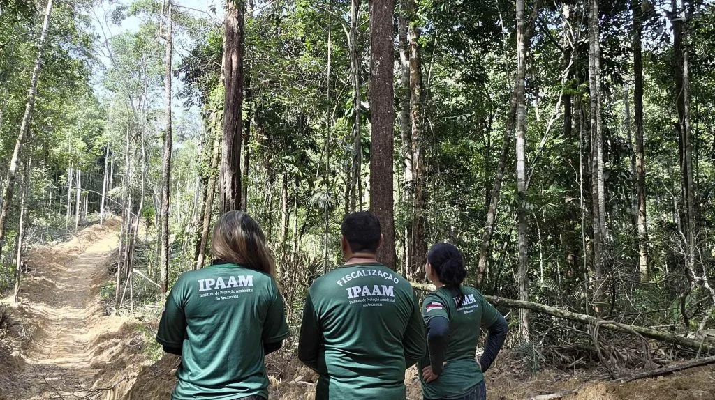 Período do Defeso Florestal inicia nesta quinta-feira no Amazonas