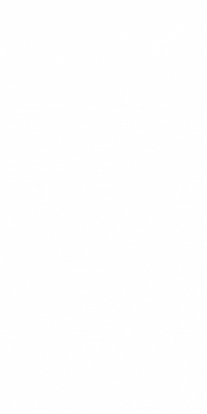 5 Wide Skyscraper (300 X 600 Px)