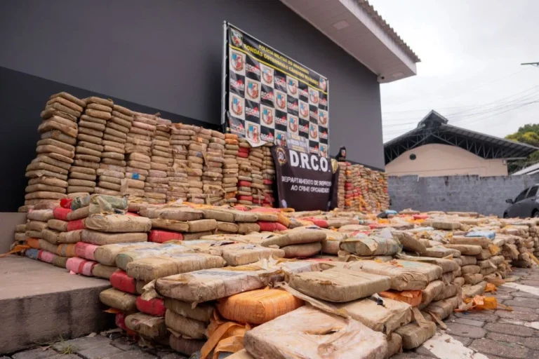 Pmam Rocam Apreende 27 Toneladas E Prende 11 Pessoas Foto Vitoria Veras Pmam 1 1024x683