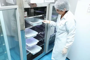 Fundação Hemoam Convida Doadores Voluntários Para Mapear O Dna Da População Amazônica