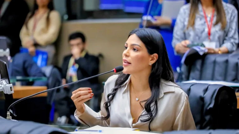 Deputada Estadual Mayra Dias (psd)