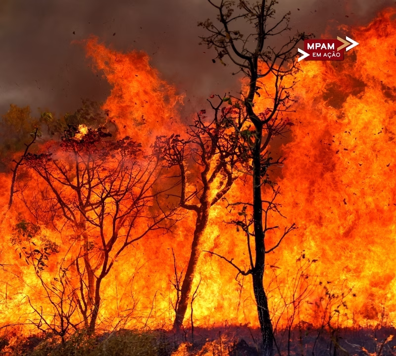 Em Juruá, MP aciona Justiça por aquisição de equipamentos de combate a incêndios pelo município Em Juruá, MP aciona Justiça por aquisição de equipamentos de combate a incêndios pelo município
