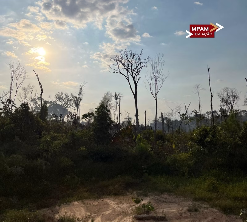 MP ajuíza ação civil pública ambiental e oferece denúncia criminal por incêndios florestais em Manicoré MP ajuíza ação civil pública ambiental e oferece denúncia criminal por incêndios florestais em Manicoré