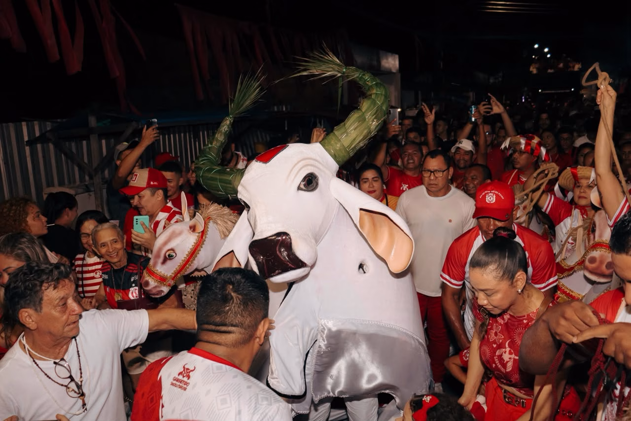 Com multidão nas ruas, Garantido cumpre tradição da Matança do Boi na Baixa da Xanda Com multidão nas ruas, Garantido cumpre tradição da Matança do Boi na Baixa da Xanda