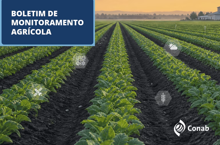 Em diversas frentes, safra 2026/2027 começa a avançar com apoio das chuvas Em diversas frentes, safra 2026/2027 começa a avançar com apoio das chuvas