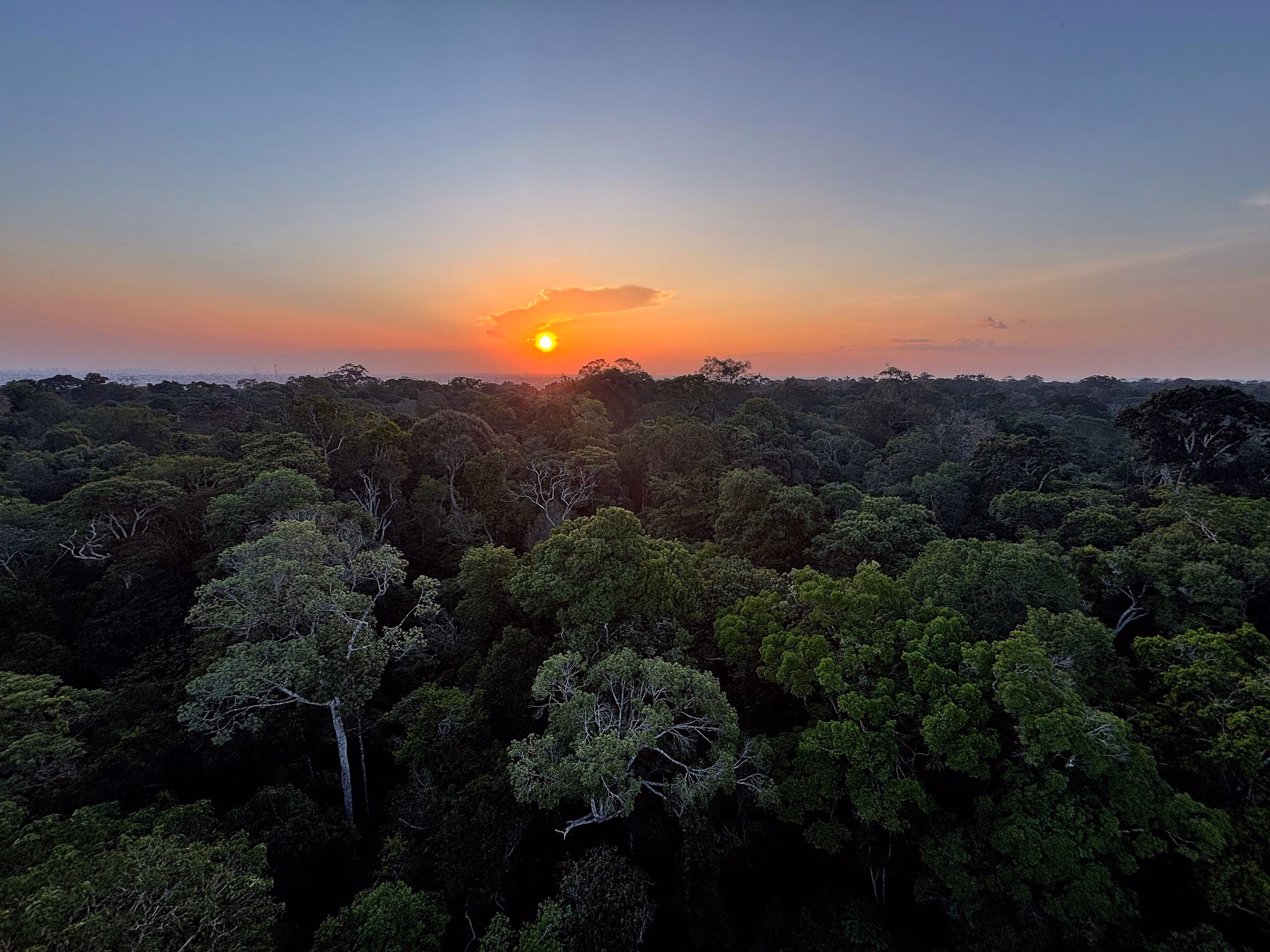 Rádio Nacional do Alto Solimões destaca Dia da Amazônia nesta sexta (4) Rádio Nacional do Alto Solimões destaca Dia da Amazônia nesta sexta (4)