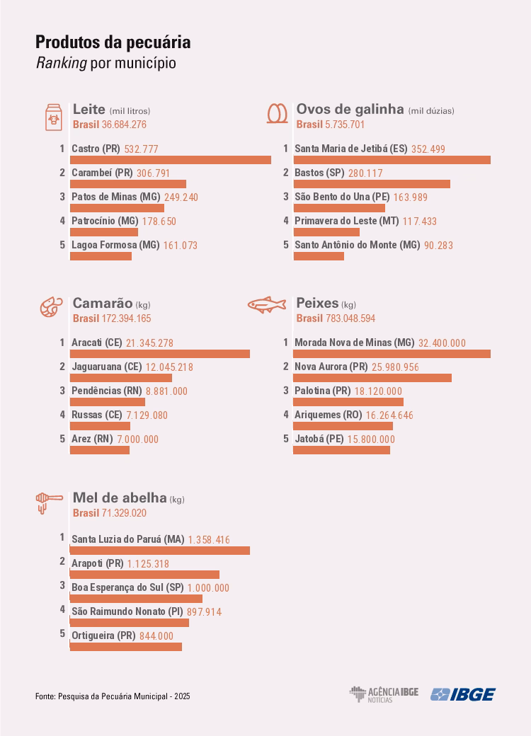 Quantidade de gado diminui e produção aumenta na agropecuária, mostra IBGE 2 infografico ppm 2025 produtos