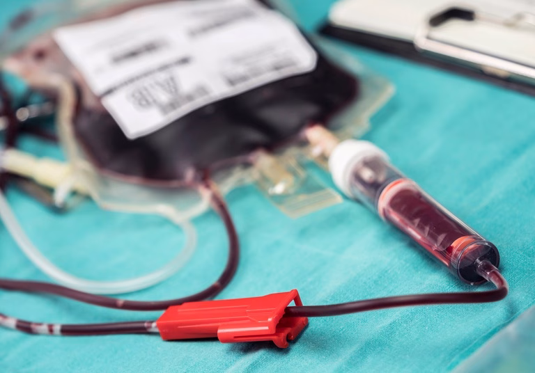 Doação de medula óssea traz esperança e vida. Conheça histórias e saiba como doar