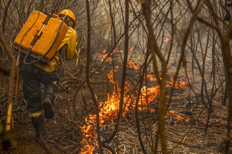 Incêndio no Pantanal em 2024