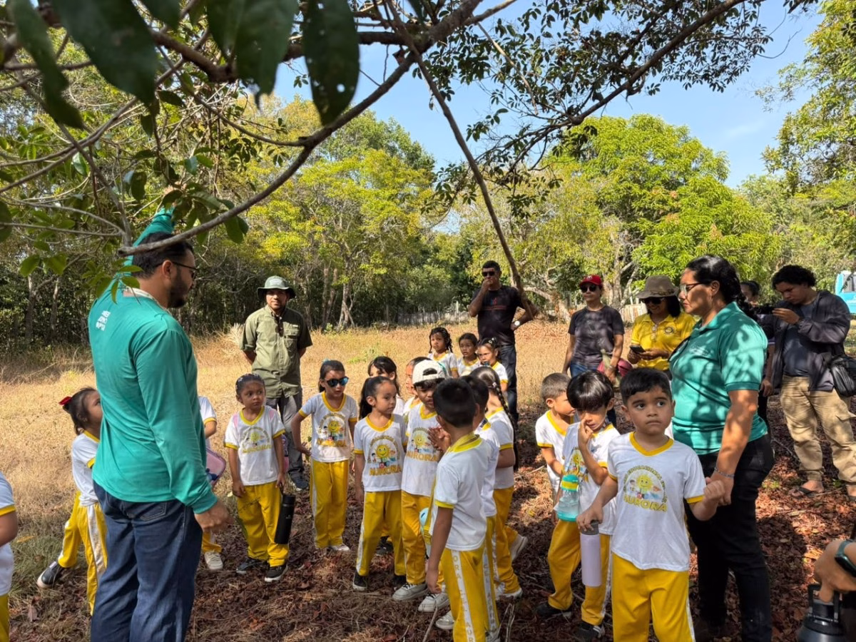 Parintins fortalece educação ambiental com atividade sobre abelhas sem ferrão para crianças Parintins fortalece educação ambiental com atividade sobre abelhas sem ferrão para crianças