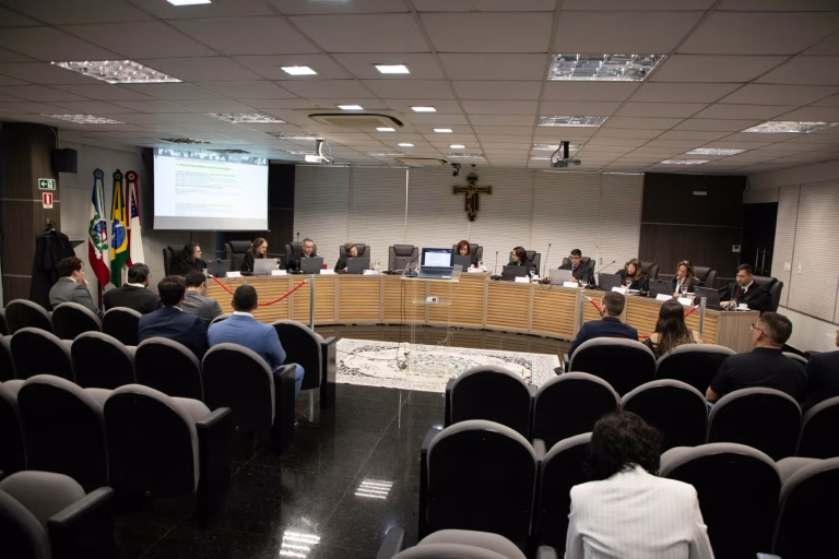 Os limites à liberdade de expressão e os prazos para desincompatibilização foram temas tratados pelo Plenário nesta semana