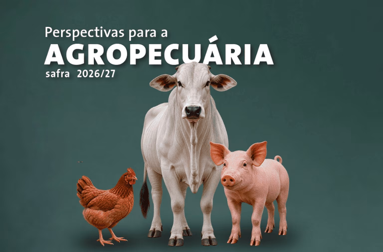 Produção brasileira de carnes deve ultrapassar 34 milhões de toneladas em 2026 e 2027 Produção brasileira de carnes deve ultrapassar 34 milhões de toneladas em 2026 e 2027