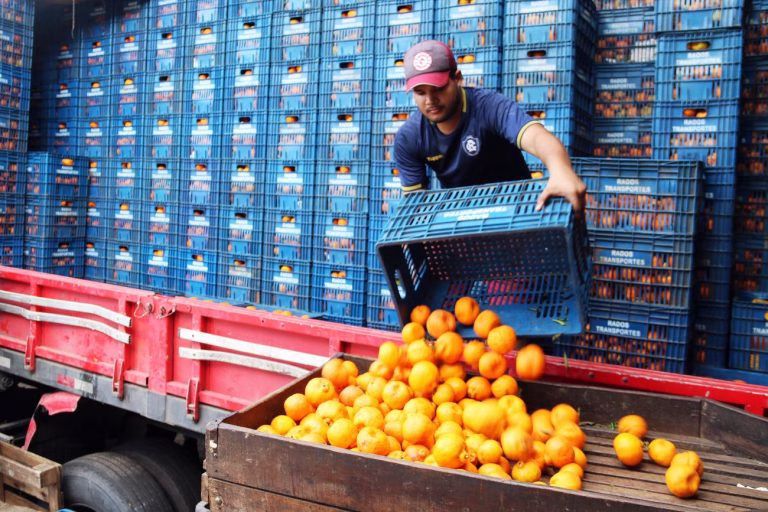 Projeto prioriza armazenagem de hortifrutis em programas federais de infraestrutura Projeto prioriza armazenagem de hortifrutis em programas federais de infraestrutura